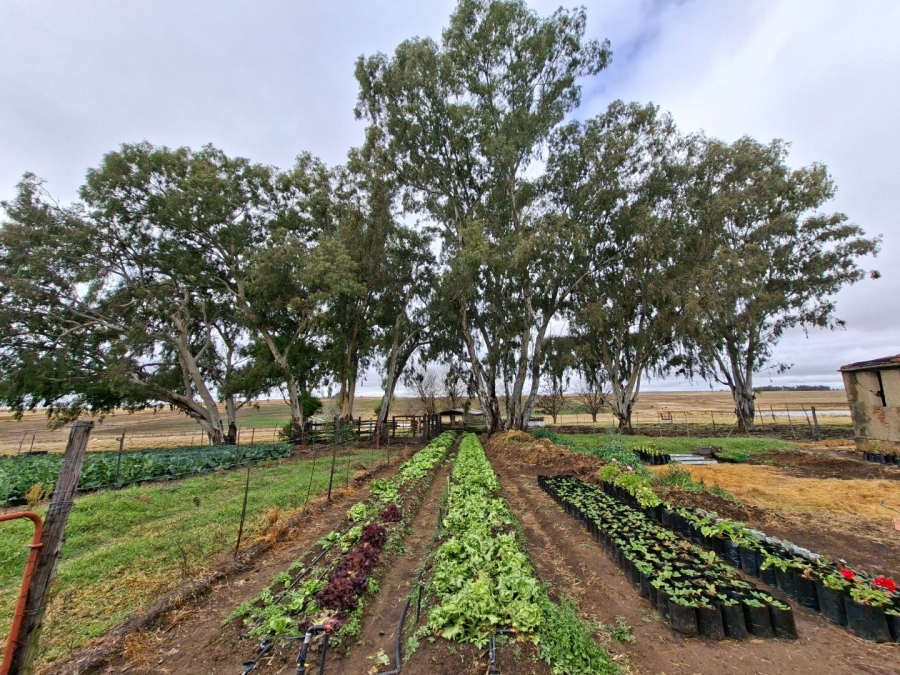 Commercial Property for Sale in Bethlehem Rural Free State